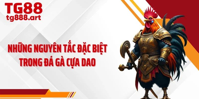 Những nguyên tắc đặc biệt trong đá gà cựa dao